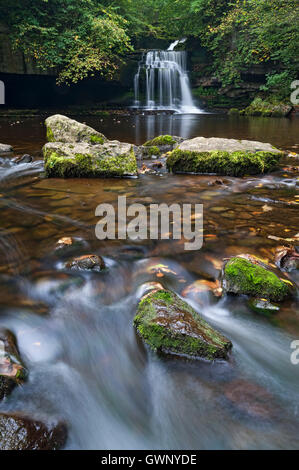 Di West Burton cade (o calderone scende), Wensleydale, Yorkshire Dales National Park, England, Regno Unito Foto Stock