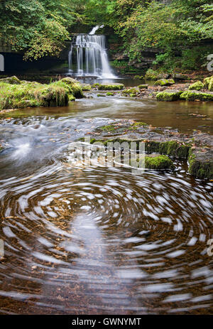Di West Burton cade (o calderone scende), Wensleydale, Yorkshire Dales National Park, England, Regno Unito Foto Stock