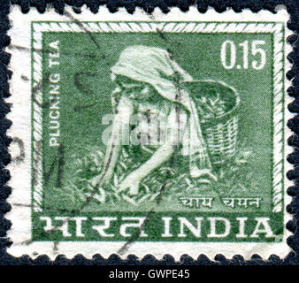 INDIA - circa 1965: francobollo stampato in India, mostra Tea Picking, circa 1965 Foto Stock