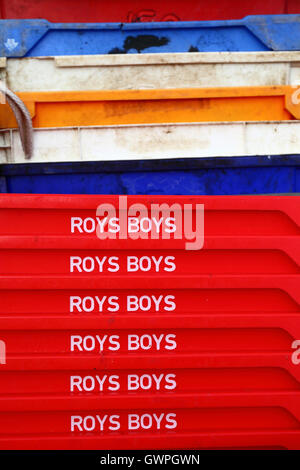 Roys Boys pila di plastica rossa casse di pesce nel porto di pesca, Hastings, East Sussex, Inghilterra Foto Stock