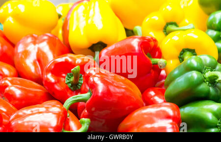 Peperoni colorati per la vendita su un mercato a Bangkok, Thaland Foto Stock