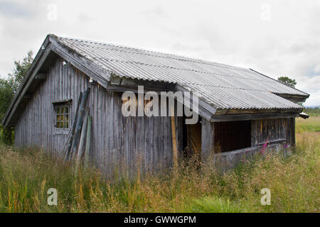 Abbandonata cabina con tetto in amianto Foto Stock