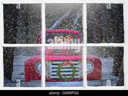 La visualizzazione della finestra di golden retriever nel retro rosso carrello con corona di vacanze e neve Foto Stock