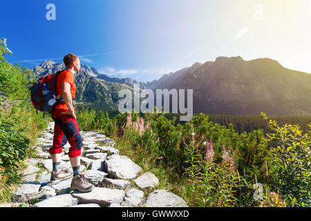Uomo in piedi sul percorso, guardando le montagne Foto Stock