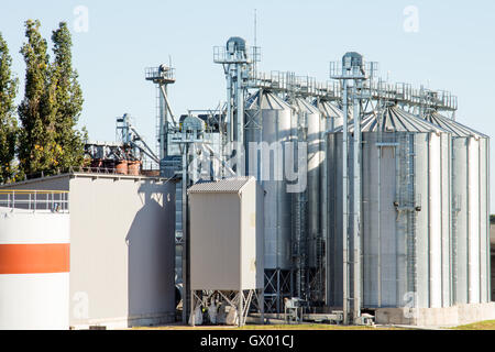 Silos agricoli - Edificio Esterno, stoccaggio ed essiccazione di grani, frumento, mais, soia, girasole Foto Stock