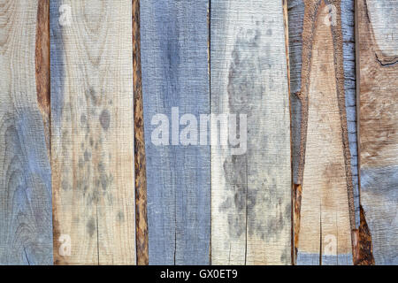 Vecchio di legno pannelli grezzi orientato verticalmente, sfondo naturale. Foto Stock