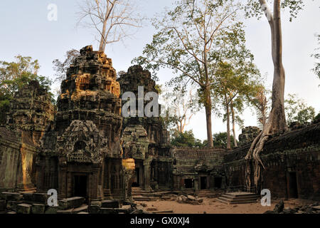 Ta Prohm Tempio con un fotogenica e atmosferica di combinazione di alberi che crescono fuori le rovine e la giungla Foto Stock