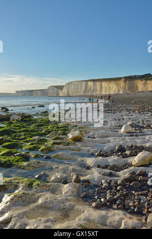 Birling Gap beach e le Sette Sorelle chalk cliffs, East Dean. Eastbourne. Foto Stock