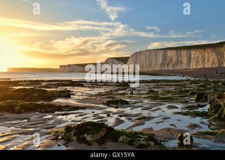 Birling Gap beach e le Sette Sorelle chalk cliffs, East Dean. Eastbourne. Foto Stock