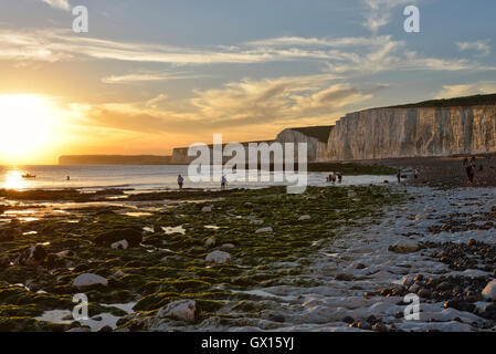 Birling Gap beach e le Sette Sorelle chalk cliffs, East Dean. Eastbourne. Foto Stock