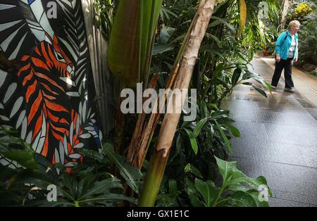 "La tigre di Sumatra' da Karolina Grudniewska che forma parte di una scultura in contesto 2016 prendendo posto in giardini botanici nazionali di Dublino e va dal 8 Settembre al 21 Ottobre. Foto Stock