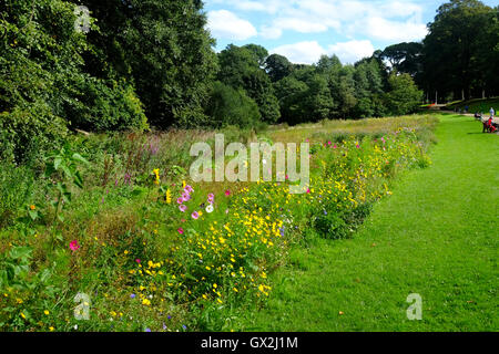 Astley Park, Chorley Lancashire Foto Stock