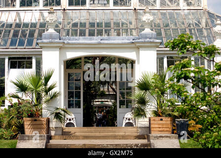 La Casa Clima temperato a Kew Gardens, London, Regno Unito Foto Stock