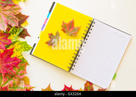 Aprire il notebook con foglie di autunno sulla pagina di giallo e dintorni. Sfondo bianco. Foto Stock