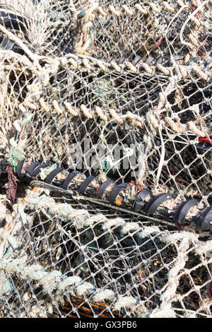 Astice con reti di mare altri attrezzi da pesca come corde e boe di plastica Foto Stock