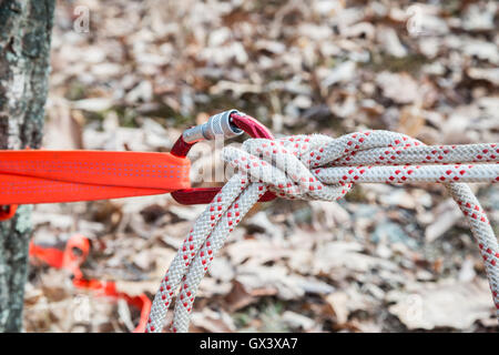 Nodo di arrampicata su corda con Caribiner Foto Stock