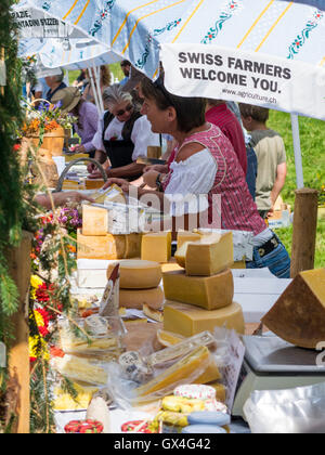 Diverse varietà di duro formaggio svizzero per la vendita su un mercato di agricoltori in Svizzera. Foto Stock