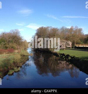 Pollok Park, a Glasgow in Scozia Foto Stock