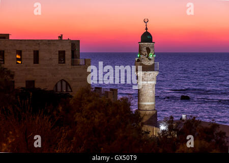 Il Al-Gahr Moschea e minareto al tramonto sulla Ha'aliya Hashniya porto nella città vecchia di Jaffa, Tel Aviv, Israele, Medio Oriente Foto Stock