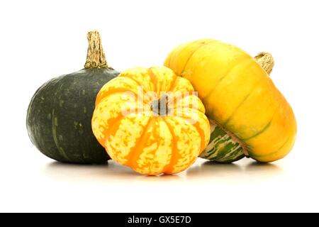 Gruppo vario di autunno squash su uno sfondo bianco Foto Stock