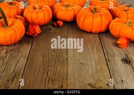 Bordo superiore disposizione di autunno zucche contro uno sfondo di legno vecchio Foto Stock