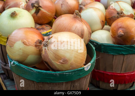 Cipolle dorate in cesti al mercato Foto Stock