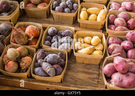 Diversi tipi di cimelio di patate al mercato Foto Stock