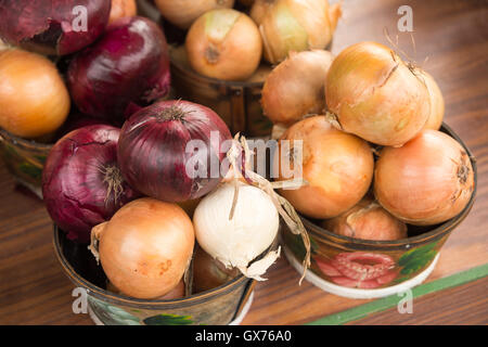 Diversi tipi di cipolle in cesti al mercato Foto Stock