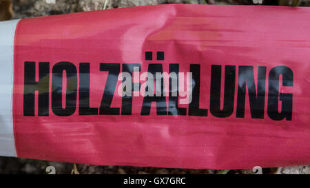 Tedesco del nastro barriera nella foresta - la deforestazione e la registrazione Foto Stock