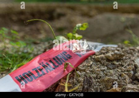Tedesco del nastro barriera nella foresta - la deforestazione e mantenere disattivato Foto Stock