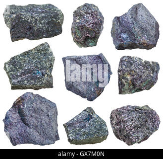 Collezione da esemplari di Bornite (minerale di Pavone Pavone, rame minerale) isolati su sfondo bianco Foto Stock