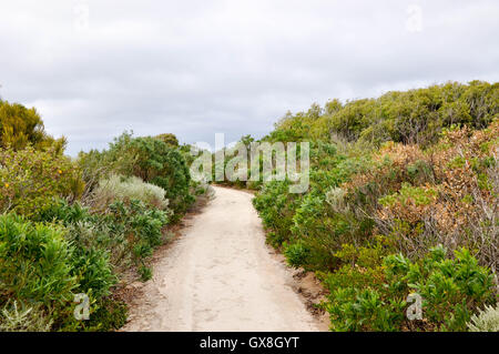 Sentiero di sabbia attraverso il lussureggiante macchia verde di Cape Naturaliste sotto cieli moody in Western Australia. Foto Stock