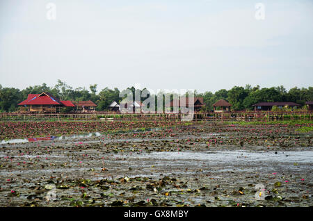 Thale Noi lago e riserva di uccelli acquatici Parco Phatthalung nella provincia del sud della Thailandia. Foto Stock