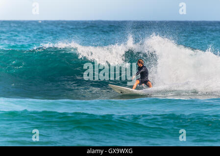 Un surfista australiano sull'onda, la spiaggia di Bondi nella periferia est di Sydney Foto Stock