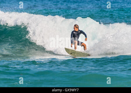 Un surfista australiano sull'onda, la spiaggia di Bondi nella periferia est di Sydney Foto Stock