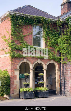Sheffield, Regno Unito - 03 Maggio : Casa Meersbrook coperta di edera su 03.Maggio 2016 a Meersbrook Park. Ex casa del Ruskin collection Foto Stock