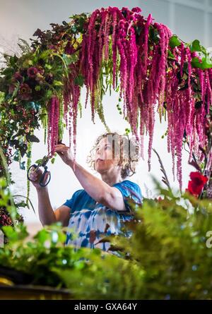 Ultimi preparativi sono realizzati in anticipo di Harrogate Autunno Flower Show al grande Yorkshire Showground. Foto Stock