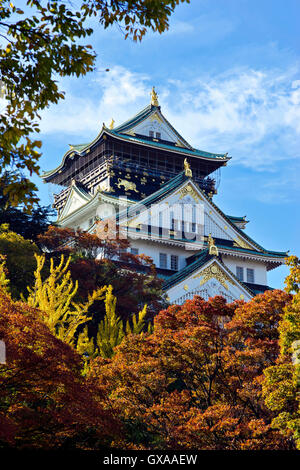 Giappone, isola di Honshu, Kansai di Osaka, il castello di Osaka. Foto Stock