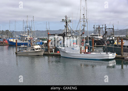 Le navi da pesca con il buttafuori sollevata ormeggiata in Newport Bay marina Oregon. Foto Stock