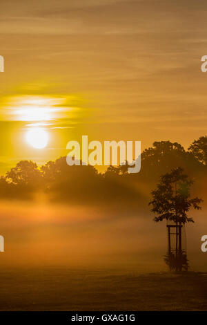 Sunrise attraverso la foschia sopra Abington Park. Northampton. Foto Stock