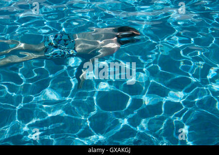 Nuotatore in acqua nella piscina Foto Stock