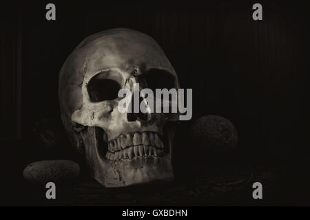 Still Life fotografia con teschio umano Foto Stock