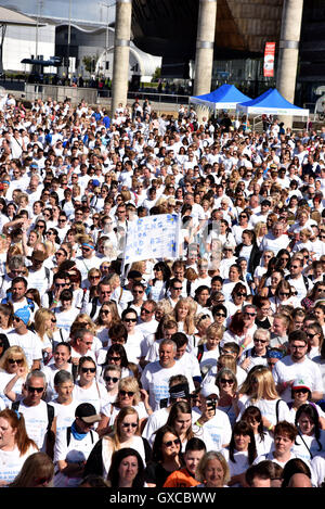 La memoria a piedi per il morbo di Alzheimer Society, Cardiff Bay Foto Stock