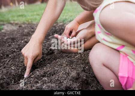 Madre e figlia giovane piantare i semi in giardino Foto Stock