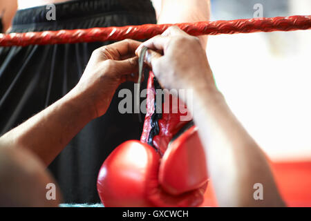 Coach aiutando boxer indossare i guanti, metà sezione Foto Stock