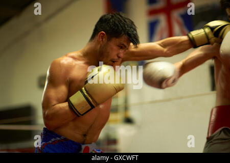 Due pugili sparring nel pugilato ring Foto Stock