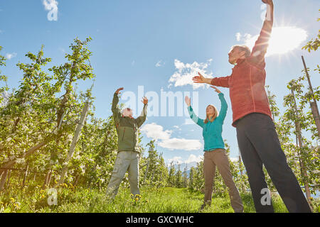 Tre adulti maturi in archiviato, meditando, basso angolo di visione, Merano, Alto Adige, Italia Foto Stock