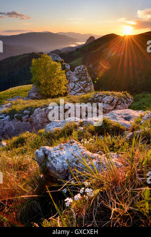 Paesaggio con rocce al tramonto, Bolshoy Thach (Big Thach) Natura Park, monti caucasici, Repubblica di Adygea, Russia Foto Stock