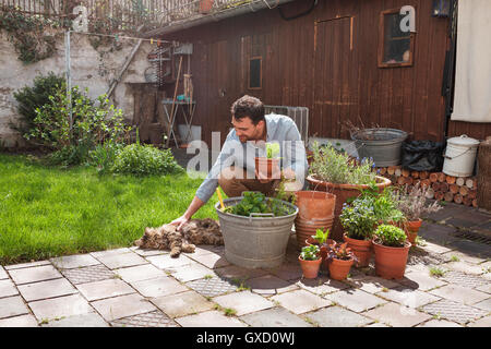 L uomo nel giardino di cura delle piante Foto Stock