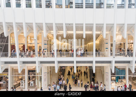 Westfield World Trade Center, la parte inferiore di Manhattan, New York, Stati Uniti d'America Foto Stock